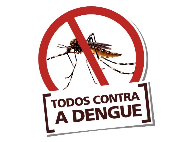 Câmara aprova indicação para antecipar a campanha contra dengue em João Pinheiro