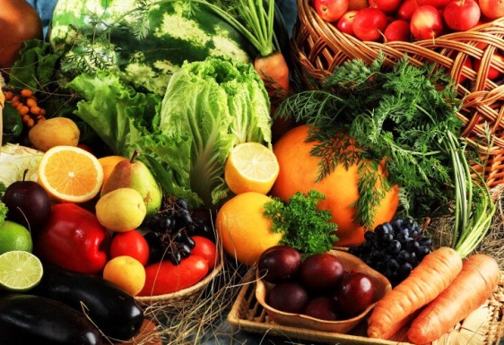 Conheça o Projeto Centro Móvel de Cooperativismo e Agricultura Familiar