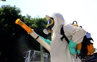 Vereadores cobram combate efetivo dos pernilongos em João Pinheiro